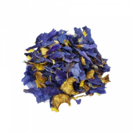 Blauwe Lotus - Nymphaea caerulea 10g